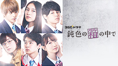 鈍色の箱の中で