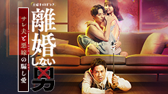 離婚しない男―サレ夫と悪嫁の騙し愛―