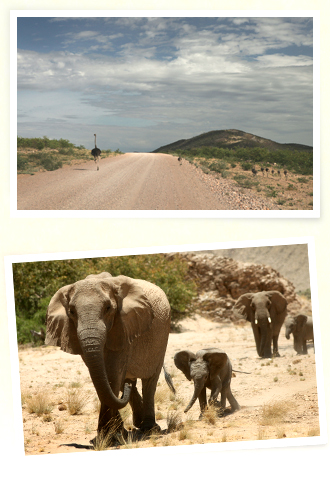 �����̊X��