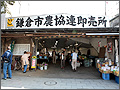 鎌倉：写真