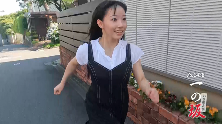 バックナンバー｜全力坂｜テレビ朝日