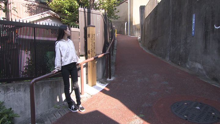 バックナンバー｜全力坂｜テレビ朝日