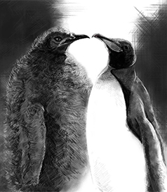 中田先生の授業 しくじり先生 俺みたいになるな テレビ朝日 中田先生の授業 しくじり先生 俺みたいになるな テレビ朝日