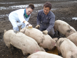 大樹じゃがポーク
