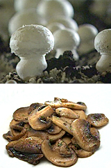 食彩の王国｜テレビ朝日