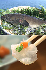 食彩の王国 テレビ朝日