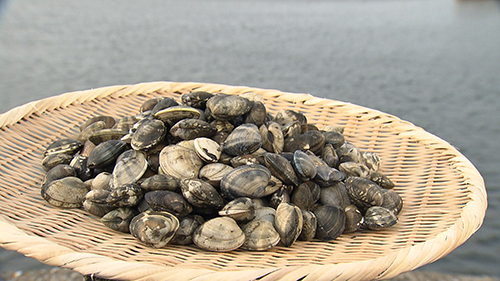 食彩の王国｜テレビ朝日