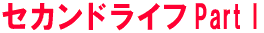セカンドライフ