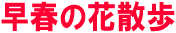 早春の花散歩