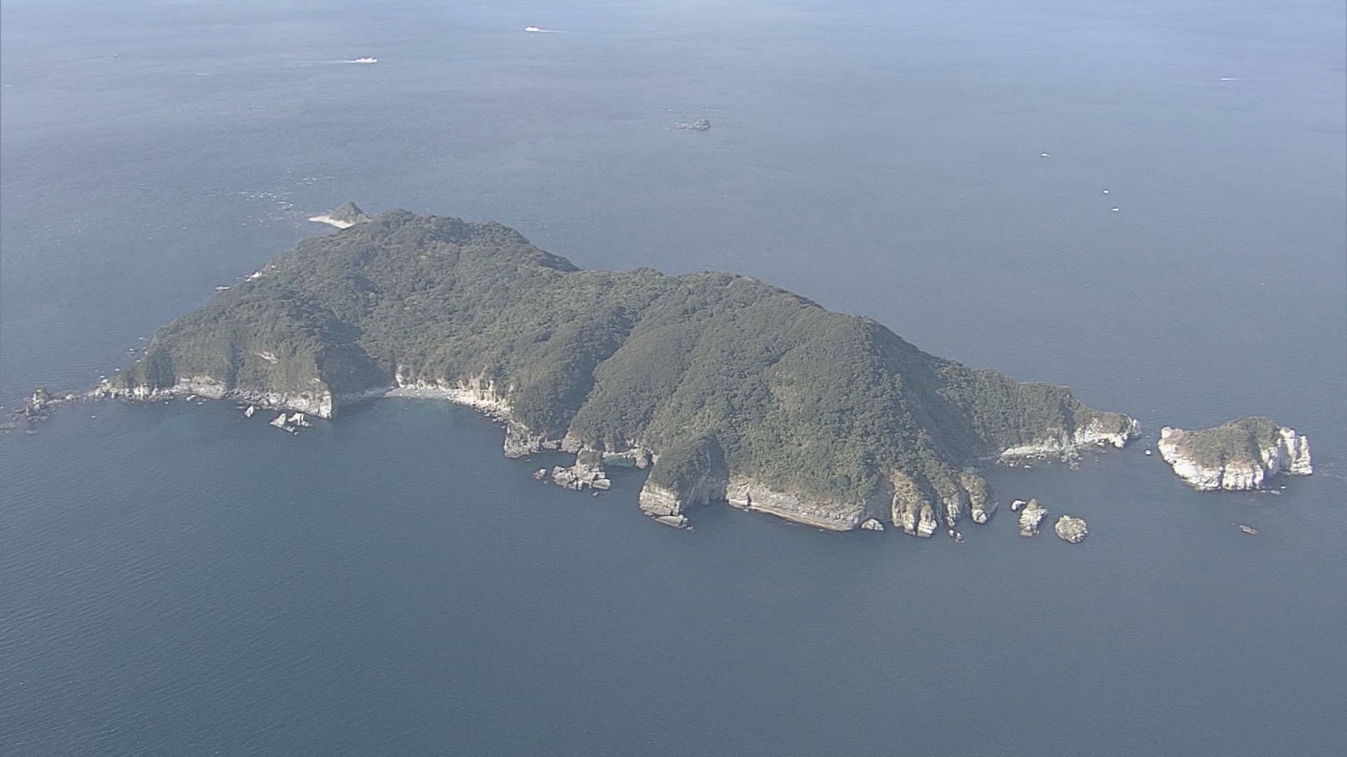 過去の放送｜テレメンタリー｜テレビ朝日