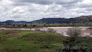 $B%I%C%;@n$NIw7J(B