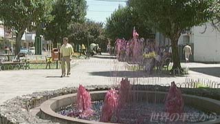 $B;TD#<KA0$N@V$$J.?e(B