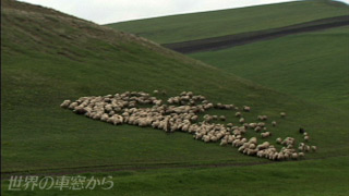 $B<VAk$+$i$_$?MS$N72$l(B