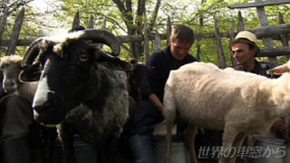 $B%^%i%`%l%7%e$NKRMS:W$NF}:q$j%3%s%F%9%H(B