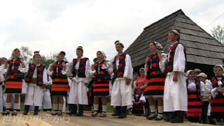 $B%7%2%C%H!&%^%k%^%D%#%(%$$N:W$NL1B2IqMY(B