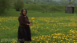 $B%?%s%]%]$N2V$rE&$s$G$$$k$*$P$5$s(B