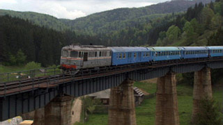 $B%V%3%t%#%J$N9b2M66$rEO$kNs<V(B