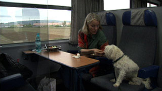 $B<VFb$G0&8$$HCk?)$r$H$k=w@-(B