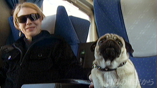 $B%8%'%N%t%!9T$-Ns<VFb$N%Q%08$$H;t$$<g$N=w@-(B