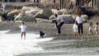 $BCO85$N?M$?$A$,;W$$;W$$$K3Z$7$`%+!<%t%#$NIMJU(B