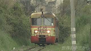 $B;33YCOBS$rAv$kMn=q$-Ns<V(B