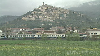 $B%H%l%t%#9Y30$NIw7J(B