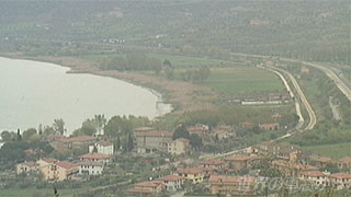 $B%H%i%8%a!<%N8P$N8P4_$N7J?'(B