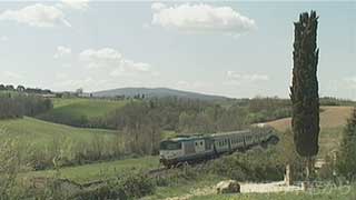 $B%H%9%+!<%J$NED<K$rAv$kNs<V(B