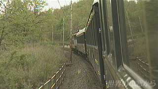 $B%*%j%(%s%H5^9T$N<VAk$+$i(B