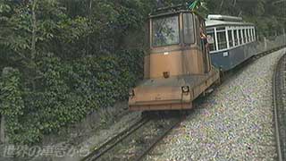 $B5^$J:d$rEP$kO)LLEE<V(B