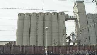 $B1XI_COFb$N>.G~CyB