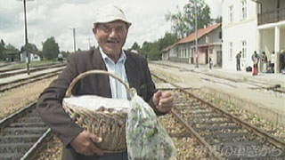 $B%t%#%m%t%#%F%#%D%!$G=P2q$C$?$*$8$$$5$s(B