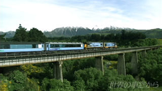 $B9b2M66$rEO$k%H%i%s%D%