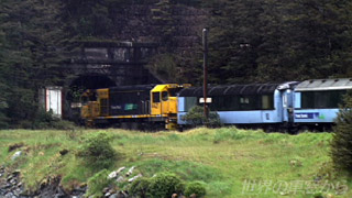 $B%*%F%#%i!&%H%s%M%k$KF~$k%H%i%s%D!&%