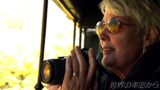 $BE8K><V$N%G%C%-$G<L??$r;#$k=w@-(B