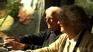 $B<VAk$+$iIw7J$rD/$a$kIWIX(B