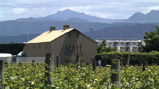 $B%V%l%J%`6aJU$N%o%$%J%j!<(B