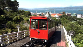 $B%&%(%j%s%H%s$N%1!<%V%k%+!<(B