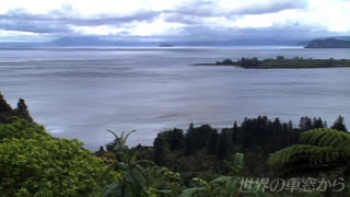 $B%?%&%]8P$N8PHJ$NIw7J(B