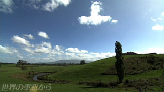 $B%O%_%k%H%sIU6a$N7J?'(B