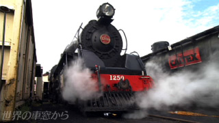 $B=PH/A0$N>x5$5!4X<V(B