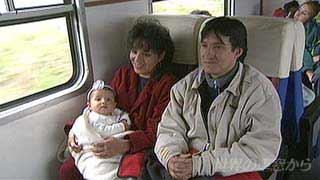 $B<VFb$N%Z%k!<?M?F;R(B