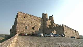 $B%7%0%(%s%5$N$*>k(B