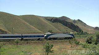 $B%5%i%4%5$rL\;X$7$FAv$k%?%k%4FC5^(B