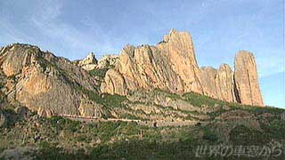 $B81$7$$4d;31h$$$rAv$k(B