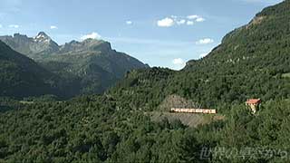 $B;3:]$NAv$kNs<V(B