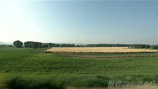 $B<VAk$K9-$,$k9rARCOBS(B