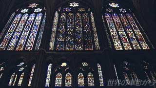 $BBg@;F2$N%9%F%s%I%0%i%9(B