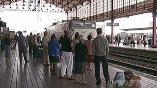 $B%l%*%s1X%[!<%`$KNs<VE~Ce(B