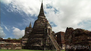 500$BG/$NNr;K$r;}$D%o%C%H$N0d@W(B